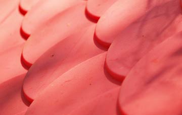 Packwood plastic roof costs